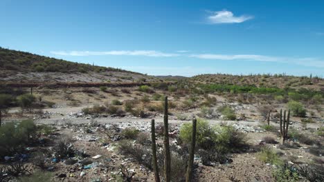 Una-Vista-De-Basura-Y-Cactus-Cardón-En-El-Desierto-De-Mulegé,-Baja-California-Sur,-México---Toma-Aérea-De-Drones