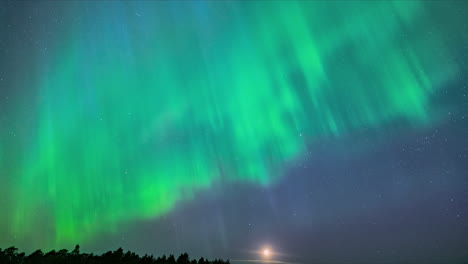 Schimmernde-Nordlichtbänder-In-Leuchtendem-Grün-Und-Blau-Erstrahlen-In-Rosa-Am-Himmel