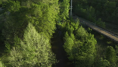 Toma-Aérea-Del-Río-Wolf-Que-Fluye-A-Través-De-Una-Exuberante-Vegetación-En-Collierville,-Tennessee,-A-Plena-Luz-Del-Día.