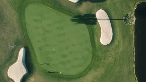 Top-down-bird's-eye-view-of-two-golfers-with-long-shadows-walking-onto-a-putting-green-in-between-sand-trap-bunkers-on-a-summer-afternoon