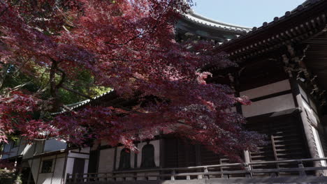 The-Sanpoji-Buddhist-temple-is-located-in-the-Shakuji-neighborhood-in-Tokyo,-it-is-very-beautiful-and-is-located-near-Shakiji-Park