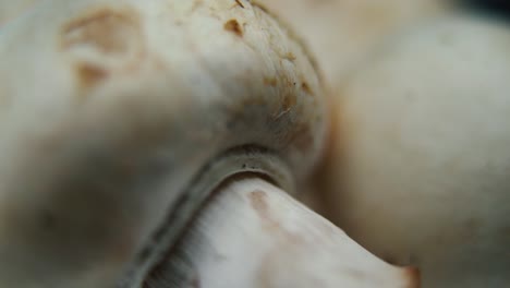 Macro-crisp-video-of-a-pile-of-mushrooms,-detailed-RAW-champignons,-white-caps-reflection,-on-a-rotating-stand,-smooth-movement,-slow-motion-120fps