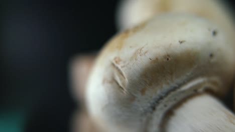 Macro-crisp-video-of-a-pile-of-mushrooms,-detailed-RAW-champignons,-white-caps,-on-a-rotating-stand,-smooth-movement,-slow-motion-120fps