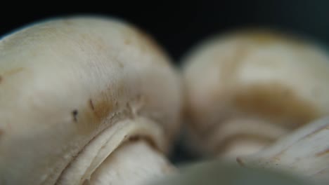 Macro-video-of-a-pile-of-mushrooms,-RAW-champignons,-WHITE-CAPS,-on-a-rotating-stand,-smooth-movement,-slow-motion-120-fps,-Full-HD