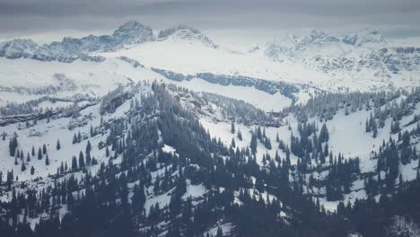 Pine-forest-stands-on-the-snow-covered-crest-of-the-mountain-ridge-in-the-Austrian-Alps