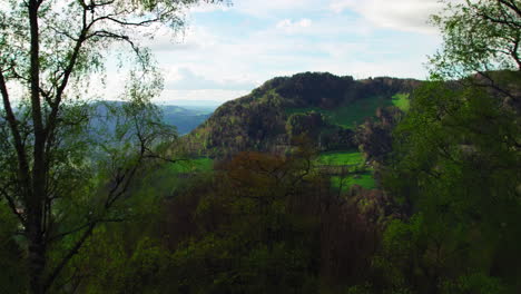 Drone-Moviéndose-Entre-Las-Ramas-De-Los-árboles-Para-Revelar-La-Zona-Rural-Cerca-De-Montreux,-Suiza