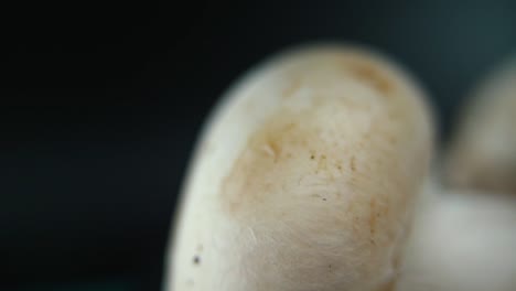 Macro-video-of-a-pile-of-mushrooms,-RAW-champignons,-GIANT-WHITE-CAP,-on-a-rotating-stand,-smooth-movement,-slow-motion-120-fps