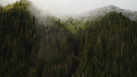 Bosque-Nublado-Siempre-Verde-Con-Nieve-En-La-Península-Olímpica,-Estado-De-Washington,-EE.UU.