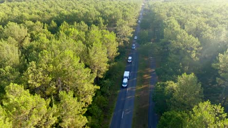 A-drone-following-vans-driving-through-pine-trees-forest