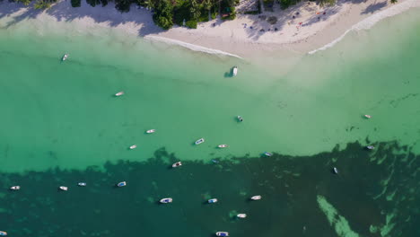 Top-down-aerial-view-of-the-beautiful-Anse-Volbert-beach-on-Praslin-Island