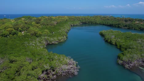 Lagune-Und-Mangroven-Im-Karibischen-Meer
