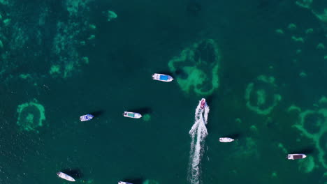Top-down-aerial-view-of-a-speedboat-driving-between-other-parked-boats