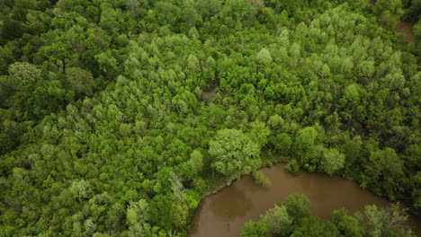Wolf-river-meandering-through-lush-forests-in-collierville,-tennessee,-tranquil-and-undisturbed,-aerial-view