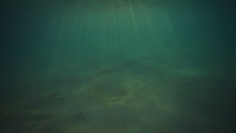 Grünes-Mystisches-Wasser-Mit-Strahlen,-Die-Durch-Die-Meeressäule-Scheinen,-Sauberer-Hintergrund