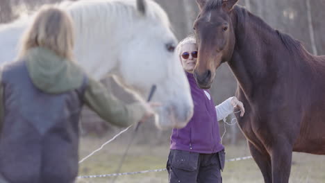 FEEL-trained-facilitator-leads-equine-therapy-workshop-using-patient-horses