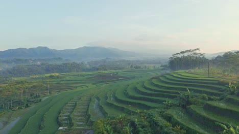 Aerial-view-over-the-Indonesian-countryside-on-a-aerly-morning
