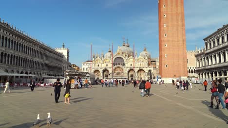 Pigeons-Flying-Straight-into-Camera-While-Walking-Through-Piazza-San-Marco-of-Venice