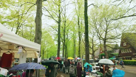 Pov-of-flea-market-stalls-at-Kingsday-under-trees-in-Amsterdam-Oud-Zuid