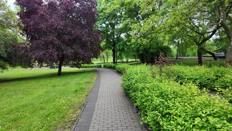 walking-in-the-europe-park
