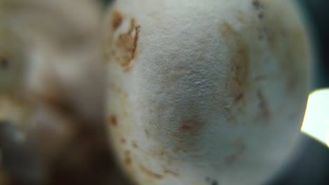 Macro-video-of-a-pile-of-mushrooms,-RAW-champignons,-WHITE-CAPS,-on-a-rotating-stand,-smooth-movement,-slow-motion-120-fps