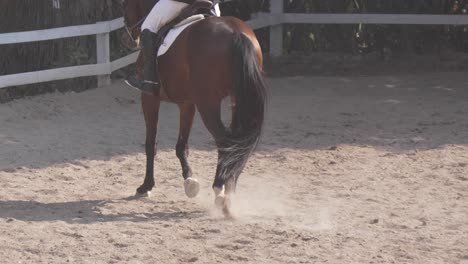 Close-up-of-the-legs-of-a-horse-trotting-elegantly-in-equestrian-competition