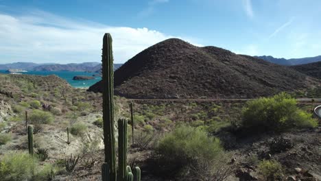 Bahia-Concepcion,-Baja-California-Sur,-Mexico---A-Vista-Encompassing-the-Sea-and-Desert-Landscape---Drone-Flying-Forward