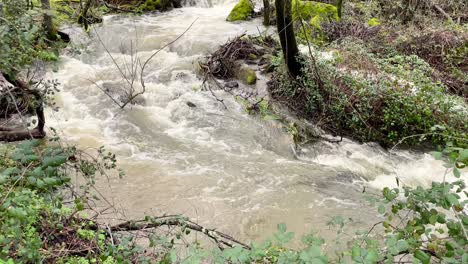 Vemos-El-Desnivel-De-Un-Arroyo-Formando-Pequeñas-Cascadas-Con-Una-Cámara-De-Elevación,-La-Fuerza-Del-Agua-En-El-Descenso-De-Un-Color-Blanquecino-Y-Vegetación-De-Ribera-A-Su-Alrededor,-Ávila,-España.