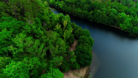 Flying-Over-Green-Trees-Forest-Next-to-the-River