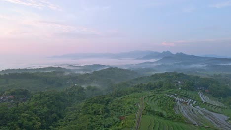 Volando-Sobre-Las-Colinas-En-Terrazas-Y-El-Paisaje-Verde-De-Indonesia-En-Un-Día-Nublado