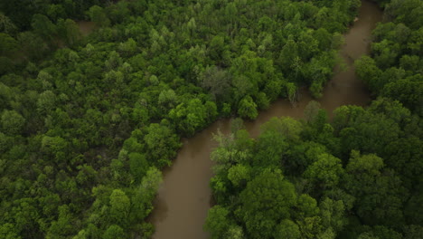 Toma-Aérea-Del-Serpenteante-Río-Wolf-Serpenteando-A-Través-De-Una-Exuberante-Vegetación-En-Collierville,-Tennessee,-Luz-Del-Día