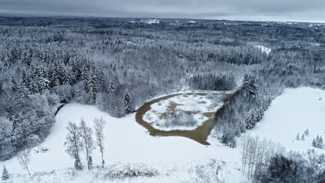 Forest-in-winter-spruce-pine-tree-covered-in-snow-Aerial-view-drone