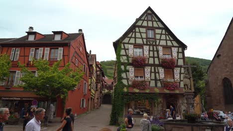 Green-Colour-Half-Timbered-House-in-Kayserberg-Village