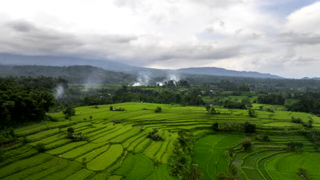 Humo-De-La-Quema-De-Pajas-De-Arroz-En-Campos-Agrícolas-En-Terrazas.