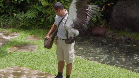 Caretaker-presenting-a-condor-during-the-Bali-Bird-Show