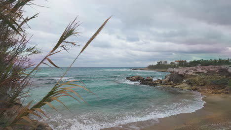 A-serene-beach-scene-in-Cyprus-with-gentle-waves,-swaying-grasses,-a-rocky-coastline,-and-an-overcast-sky-hinting-at-dramatic-weather-changes