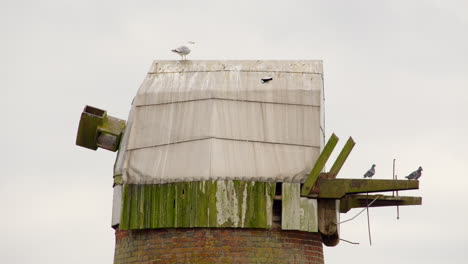 Nahaufnahme-Der-Kappe-An-Einer-Verlassenen-Windmühlenwasserpumpe-Der-Norfolk-Broads-Mit-Herumfliegenden-Vögeln-Auf-Dem-Fluss-Ant-In-Der-Nähe-Der-Ludham-Bridge