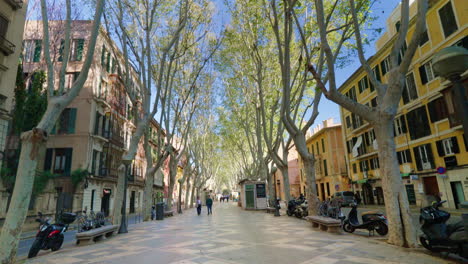 Von-Bäumen-Gesäumte-Stadtstraße-In-Palma-De-Mallorca-Mit-Fußgängern