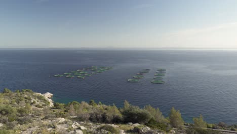 Aquaculture-Round-Fish-Cages-In-The-Gulf-of-Aegina-In-Greece