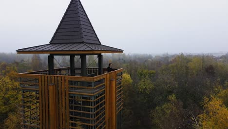 Hombre-De-Pie-En-La-Torre-De-Observación-Sobre-El-Arboreto-Forestal,-Establecidor