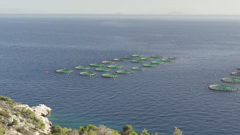 Fish-Farm-Round-Cages-In-The-Aegina-Gulf-In-Daytime-In-Greece