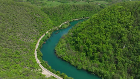 Vogelperspektive-Eines-Grünen-Flusses,-Der-Durch-Einen-Dichten-Wald-Fließt-Und-Die-Leuchtenden-Farben-Des-Frühen-Frühlings-Zur-Geltung-Bringt