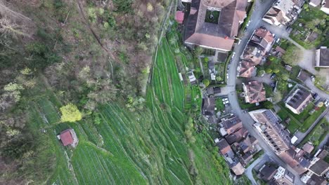 Eine-Vogelperspektive-Erfasst-Die-Kaskadierenden-Landwirtschaftlichen-Felder-In-Der-Nähe-Der-Siedlung-Wessen-Am-Walensee-In-Der-Schweiz,-Die-Symbiotische-Beziehung-Zwischen-Mensch-Und-Land