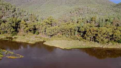 Tilt-drone-shot-of-lower-Snowy-River-and-mountain-range-in-Kosciuszko-National-Park-on-summer-day,-NSW,-Australia