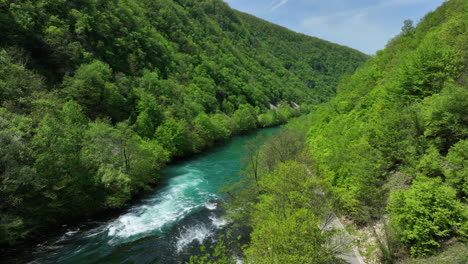 Eine-Unberührte-Naturszene-Mit-Einem-Klaren-Fluss,-Flankiert-Von-Frisch-Grünen-Bäumen-Und-Einem-Sanften-Himmel,-Von-Oben-Betrachtet