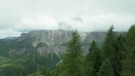 Revelación-Cinematográfica-Aérea:-Un-Dron-Vuela-Cerca-De-Abetos,-Revelando-El-Valle-Del-Paso-Val-Gardena-En-Tirol-Del-Sur,-Italia