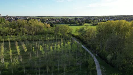 Blick-Auf-Die-Pflanzung-Von-Jungen-Und-älteren-Bäumen-Und-Die-Landschaft