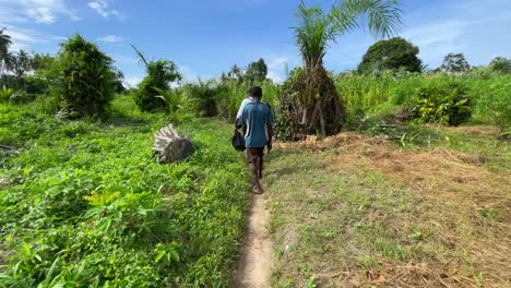 Siguiente-Punto-De-Vista-En-Tierras-Agrícolas-En-África,-Un-Granjero-Va-A-Trabajar