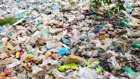 Gato-Y-Pollo-Buscando-Comida-En-Una-Gran-Pila-De-Basura,-Movimiento-Lento-Hacia-La-Derecha