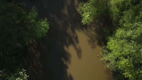 Shadows-Of-Trees-On-Calm-Waters-Of-Wolf-River-In-Collierville,-Tennessee