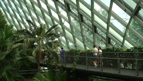 People-strolling-on-the-aerial-walkway,-immersed-in-the-magical-environment-of-Cloud-Forest-greenhouse-conservatory,-indoor-greenery-at-Gardens-by-the-bay,-Singapore
